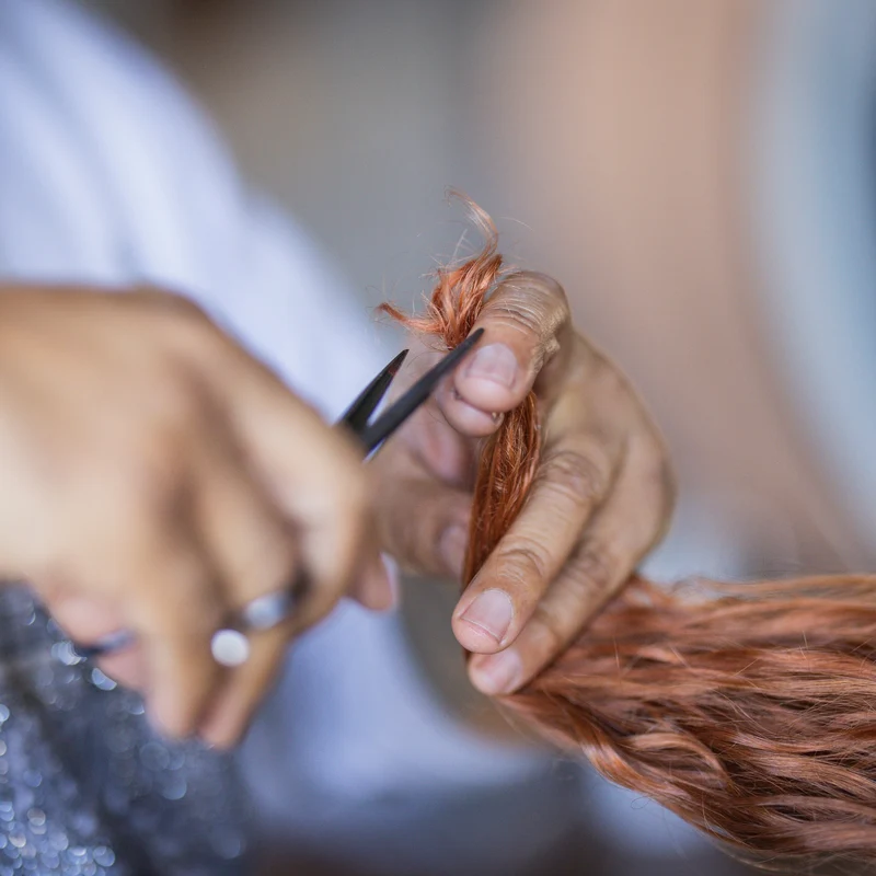 Look & Learn mit The Curly Scott