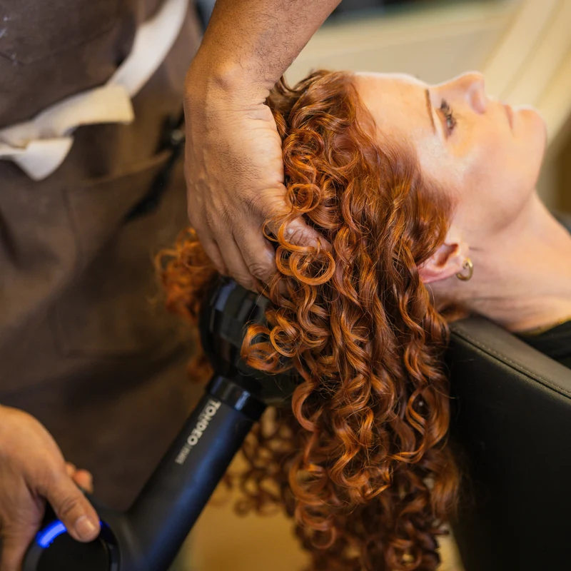 Look & Learn mit The Curly Scott