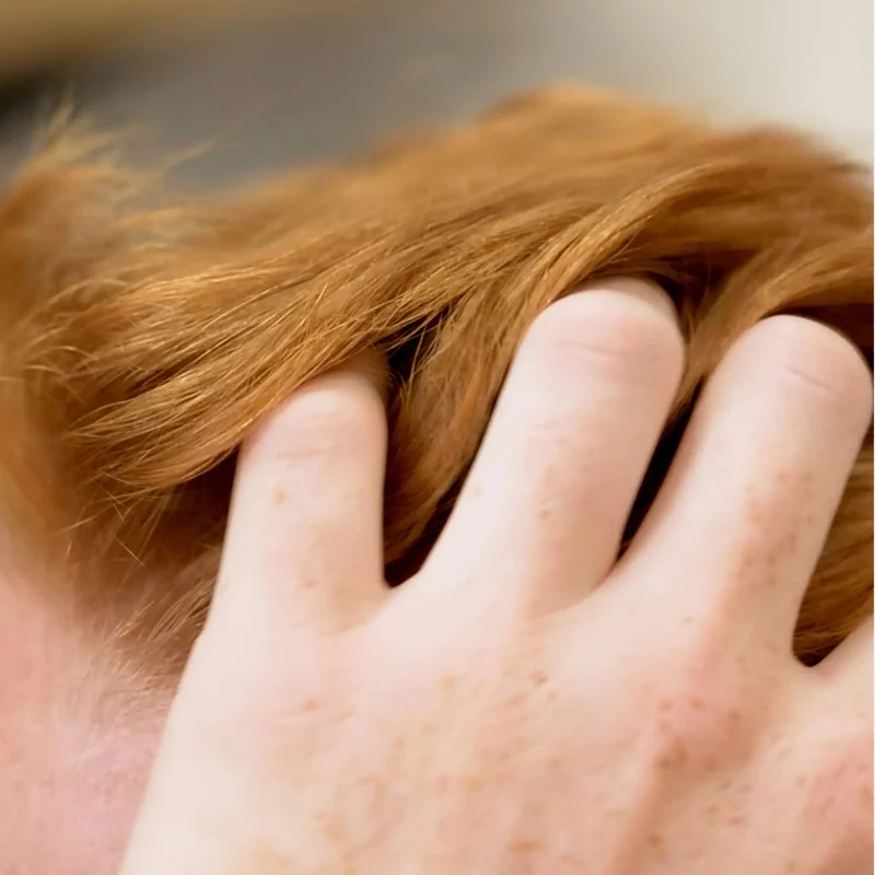 Shampoing Solide Cheveux