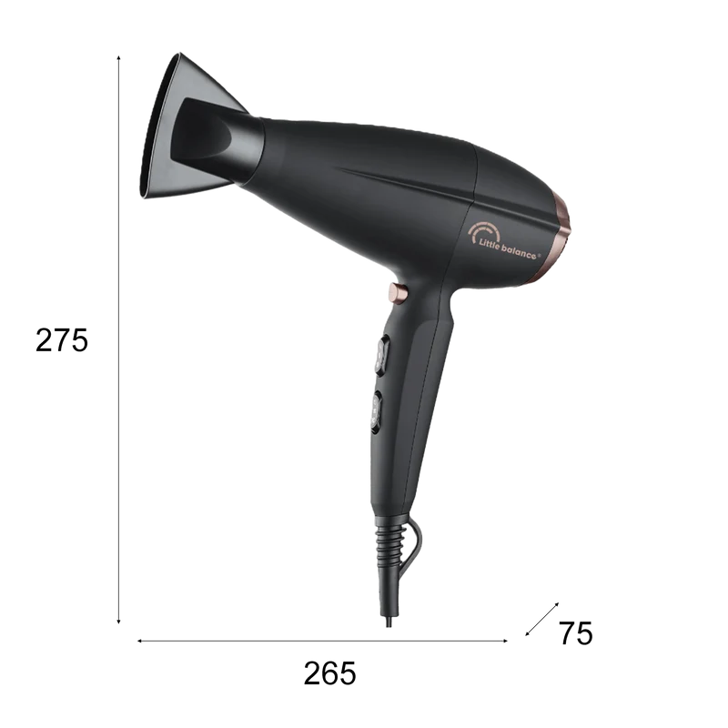 Sèche-cheveux, Ionic Hair 2200