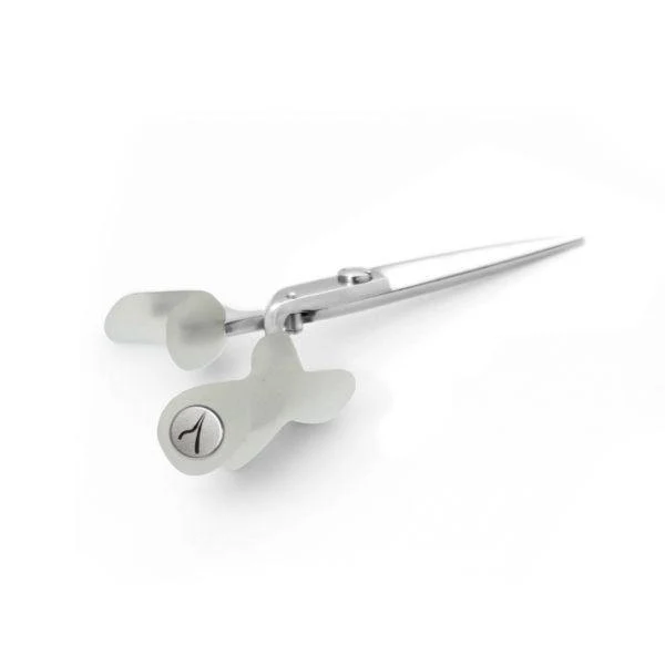 Ciseaux de coiffure Exthand EXPERT 6