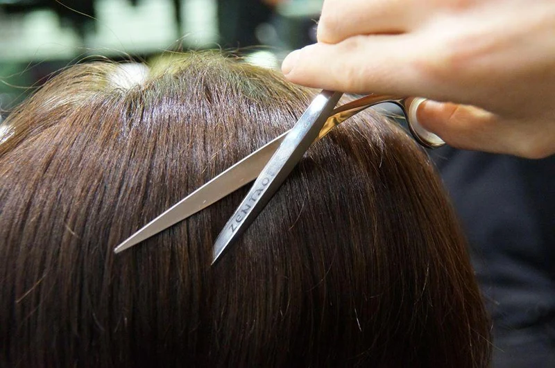 Ciseaux de coiffure Tondeo Zentao black