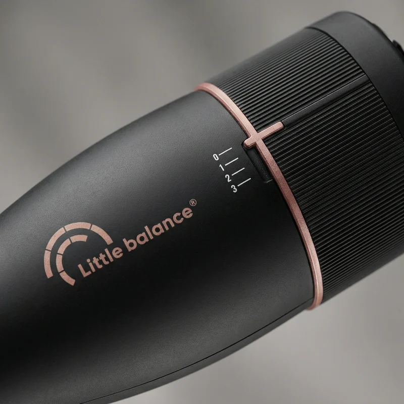 Brosse soufflante, Ionic Volume & Style 2