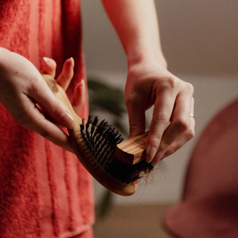 Brosse de nettoyage