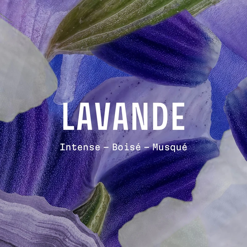 Savon de Marseille liquide – Lavande Iconique 500 ml