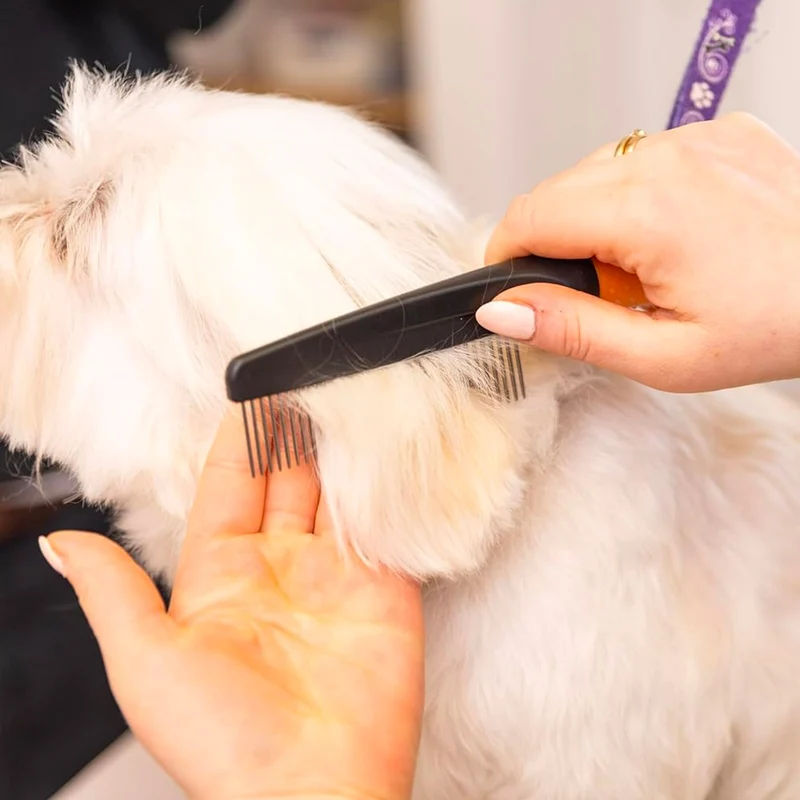 Wahl Pro Pet Grooming Comb