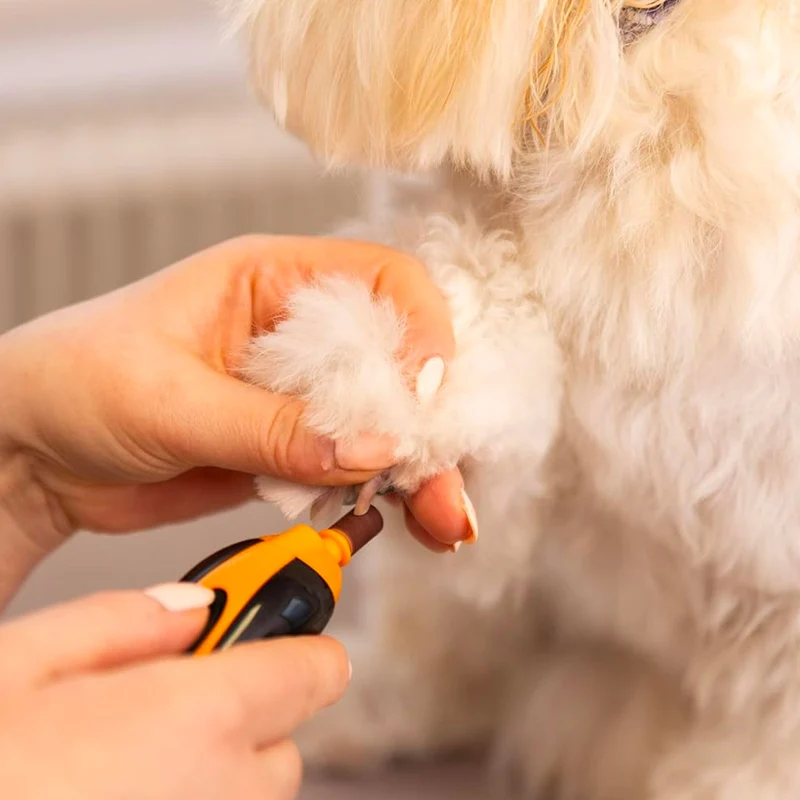 Wahl Pro Pet Cordless Nail Grinder - ponceuse à ongles sans fil