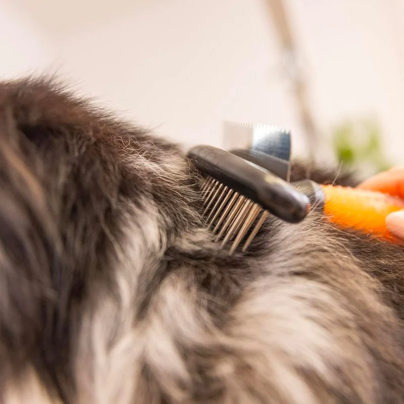 Wahl Pro Pet Double Row Rake