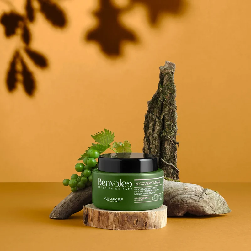 Alfaparf Milano Benvoleo Recovery Mask 250ml - masque restructurant