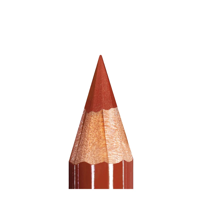 Mesauda Beauty Artist Lips Pumpkin 1.14gr - crayon à lèvres