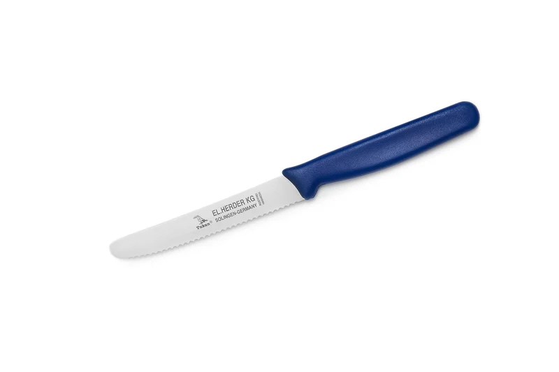 Set 6tlg. Frühstücksmesser PPN Kunststoff mit Welle, Griff blau