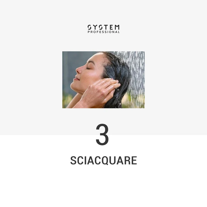 System Professional Basic Routine pour Cheveux Secs