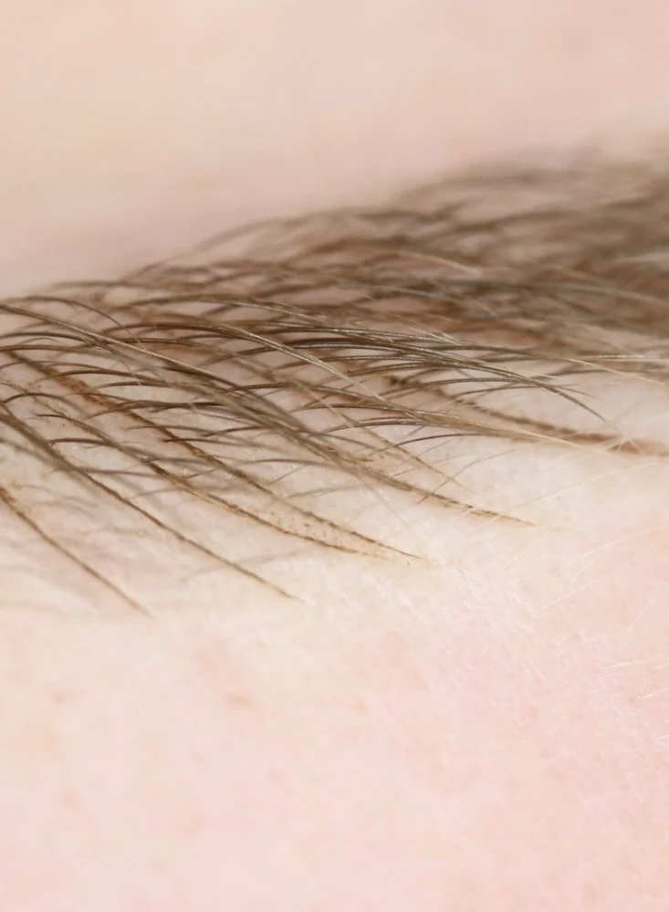 Formation en ligne – Perfectionnement Montage de Poils (Microblading ; Maquillage Permanent) (Aucune trousse)