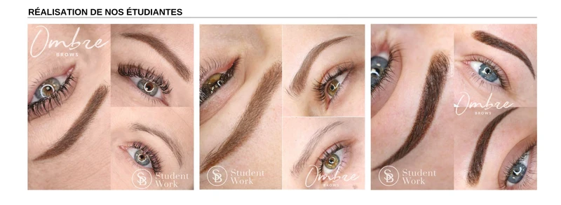 Formation Ombre Brows en Ligne (TROUSSE DE DÉPART et APPAREIL INCLUS et livrés lors de l'inscription, d'une valeur de 700$tx)