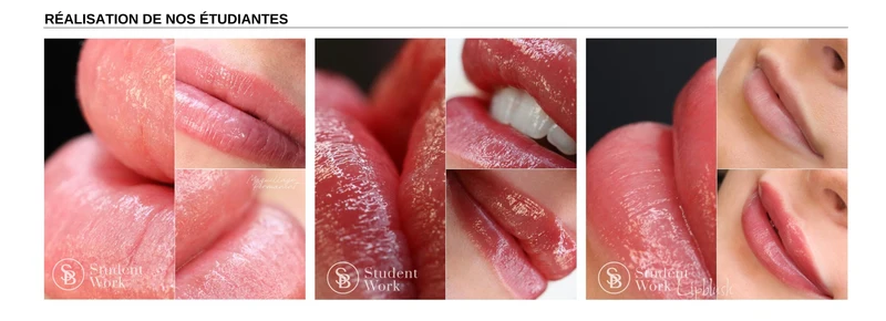 Formation Lipblush en Ligne (TROUSSE DE DÉPART et APPAREIL INCLUS et livrés lors de l'inscription d'une valeur de 700$tx)