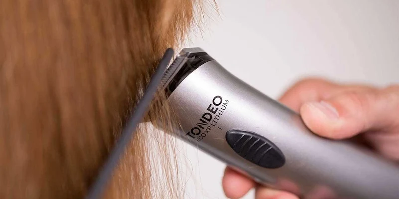 Tondeuse Tondeo Eco XP Lithium