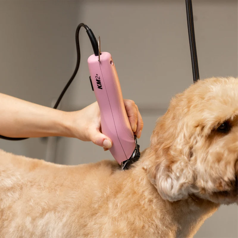 Wahl Pro Pet KM2+ - tondeuse filaire
