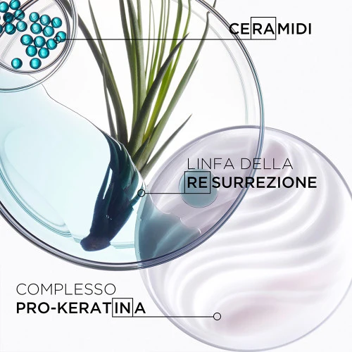 Kerastase Résistance Bain Force Architecte 250ml Ciment Anti-Usure 200ml
