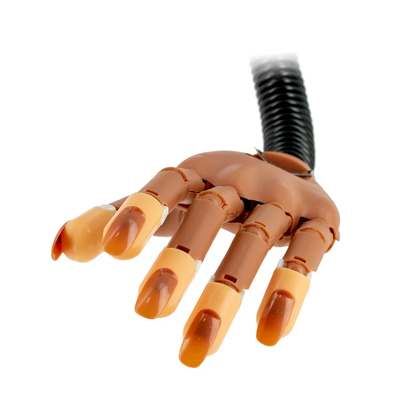 Main d'entraînement articulée flexible + 100 ongles
