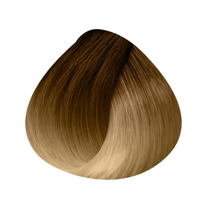 Extensions Adhésives INVISIBLES Ombrées Largeur 4cm X6 Bandes 40/45cm