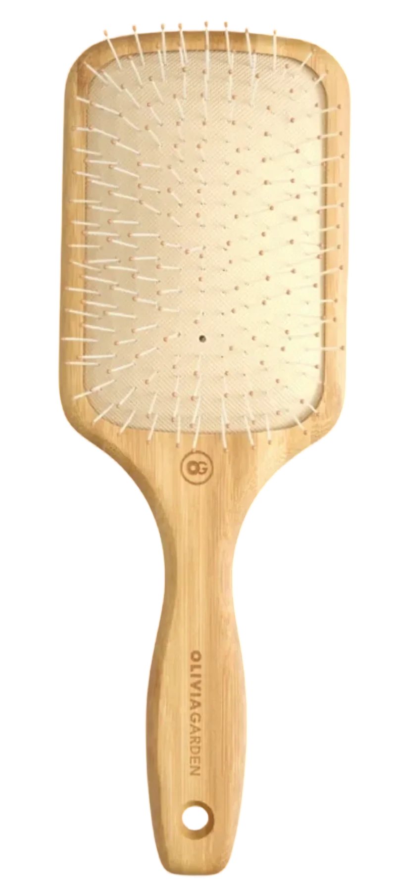 Brosse Large Ionic Paddle