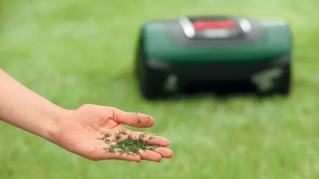 Tondeuse robot connectée BOSCH Indego S+ 500 jusqu’à 500m²