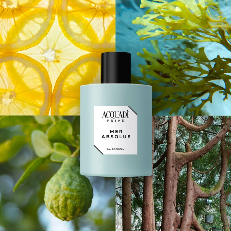 Acquadì Privè Mer Absolue Eau De Parfum 100ml - parfum