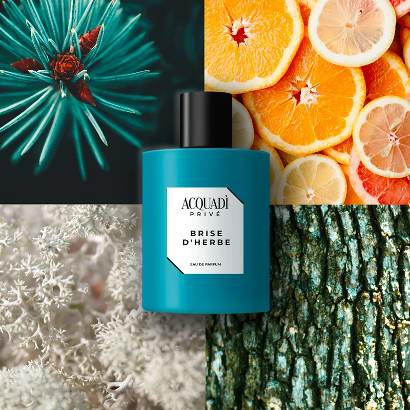Acquadì Privè Brise D'Herbe Eau De Parfum 100ml - parfum
