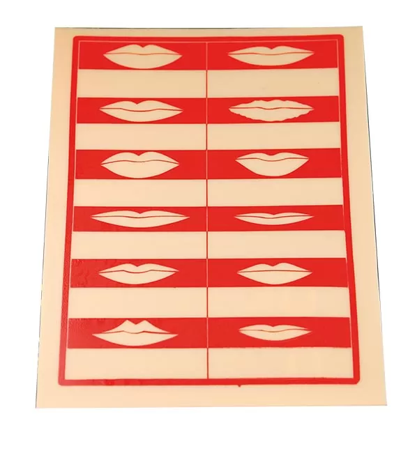 Plaque Maquillage 12 Levres Imprimees