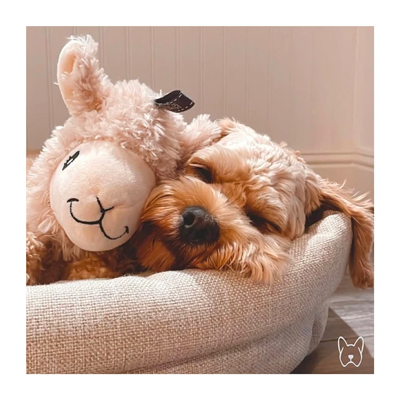 Agave Pet BestFriendForever Peluche Alpaca 33cm