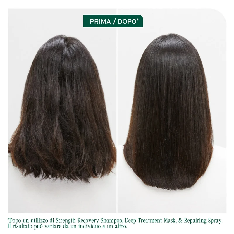 Biolage Professinal Hair Spa Strenght Recovery Deep Treatment Pack 100ml - traitement pour cheveux abîmés
