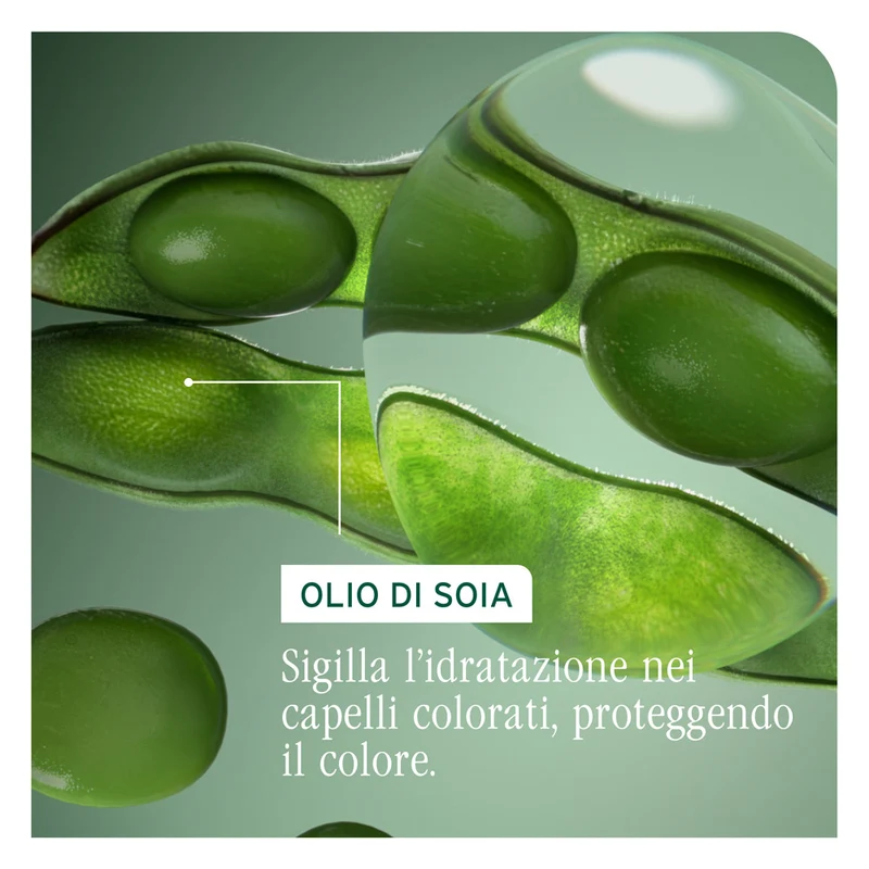 Biolage Professional Hair Spa Color Last Refill Conditioner 500ml - après-shampooing protection couleur