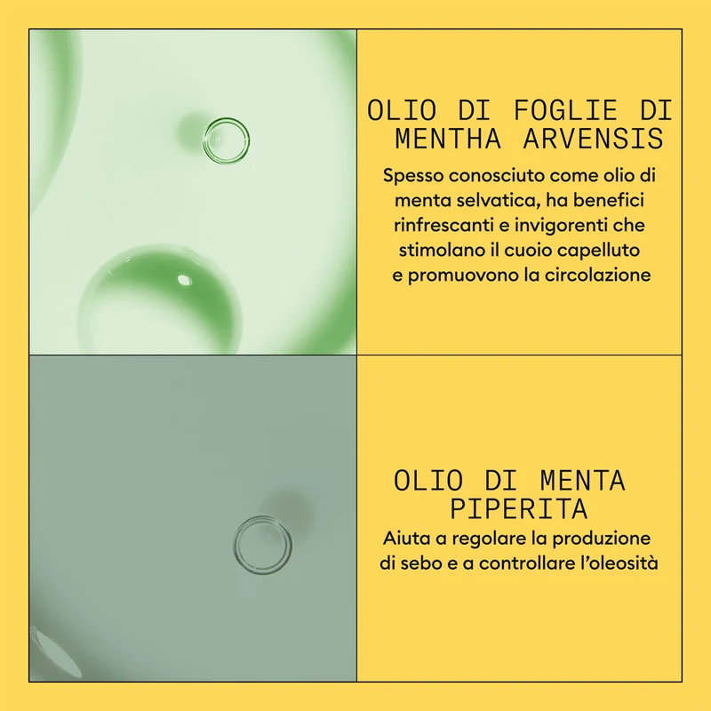 Nioxin Sistema 1 Scalp Hair Conditioner 1000ml - après-shampooing anti amincissement léger